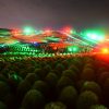 社員旅行や町内会旅行にぴったり！国営ひたち海浜公園の「コキアライトアップ」が9月27日（金）スタート