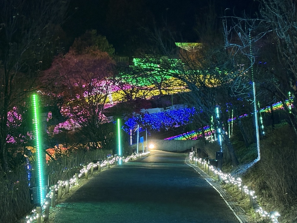 光の柱が並ぶ道