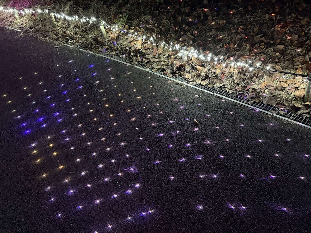 道路に光の点が映し出されてきれい