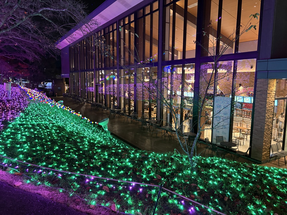 ワイルドダイニング