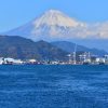 周年記念イベントや社員旅行にイチオシ！富士山清水港クルーズで特別感のあるプランを