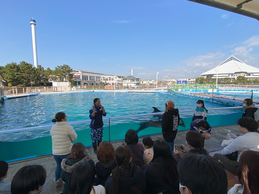 3頭のイルカとお客様のキャッチボールで愛称を発表!