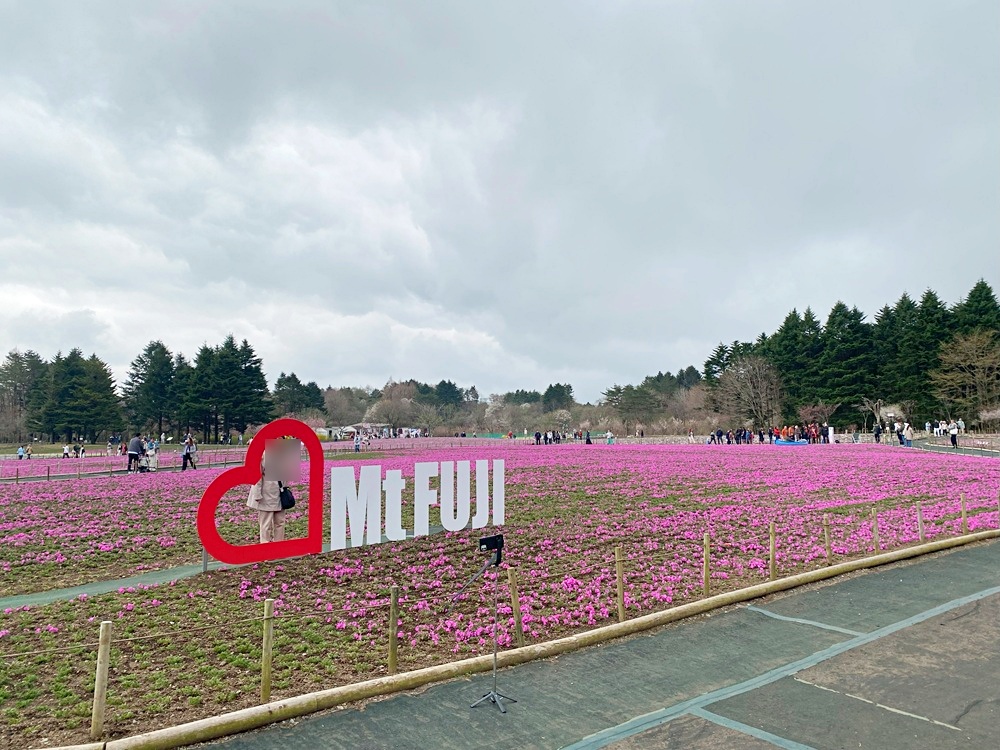 「Mt.FUJI オブジェ」のフォトスポット