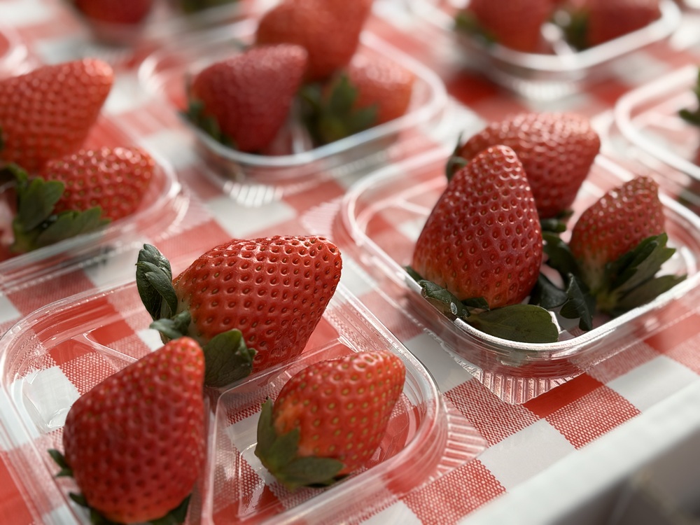 とちおとめ・とちあいか・スカイベリーの3品種を食べ比べ