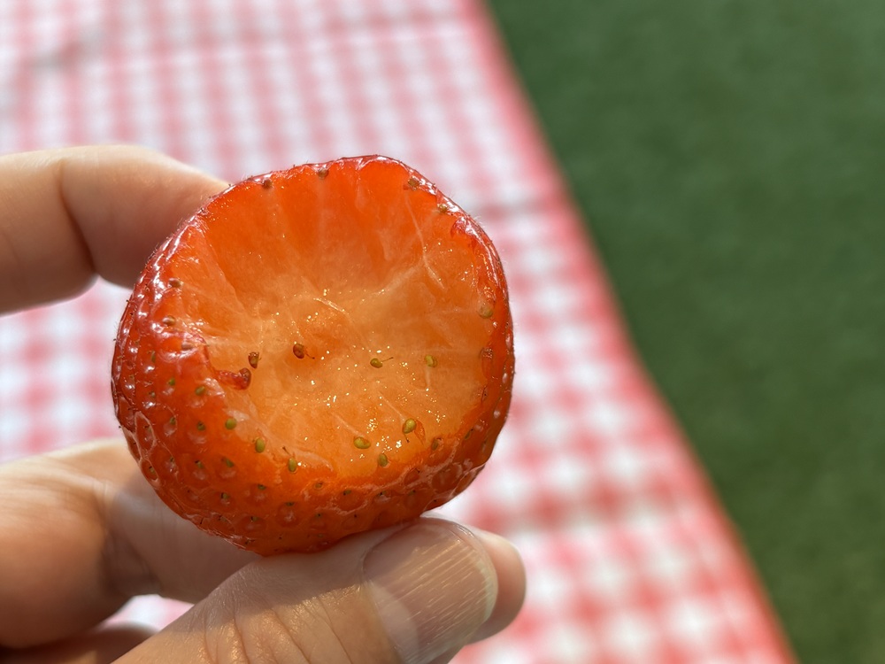 みずみずしい果肉