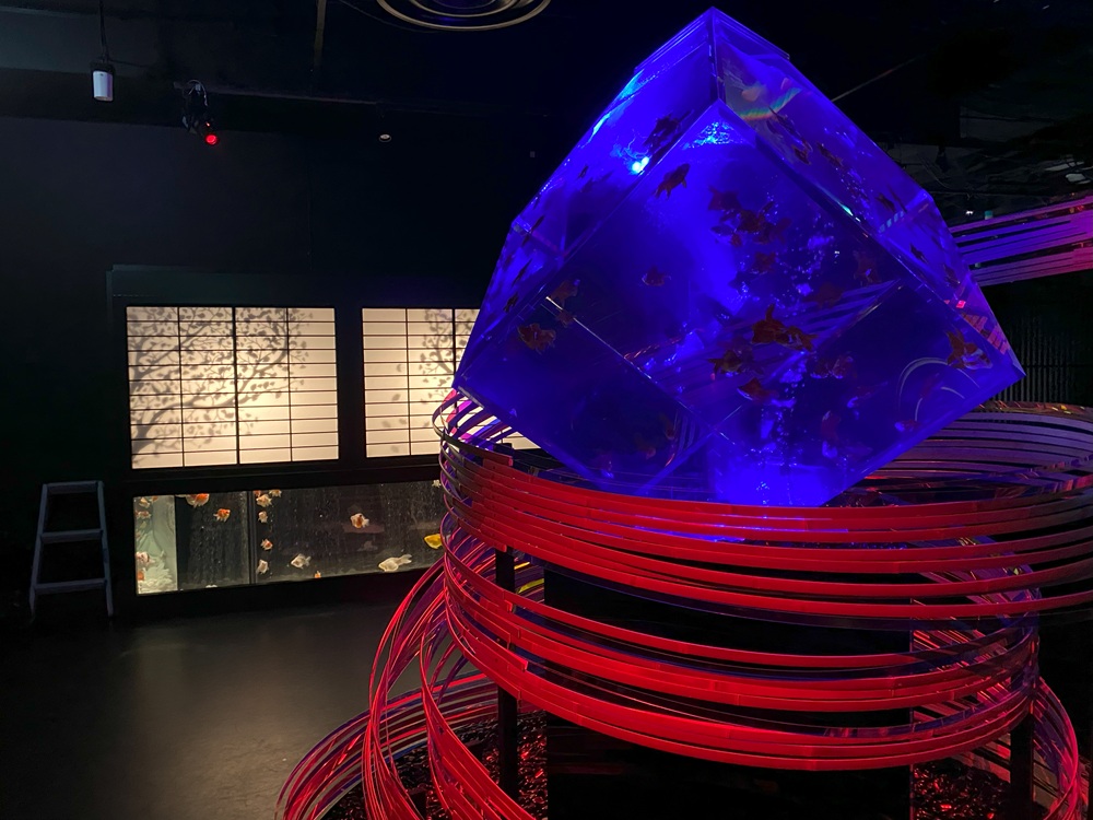 金魚の石庭