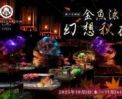 改装後初めての秋の企画展「金魚泳ぐ幻想秋夜2025」