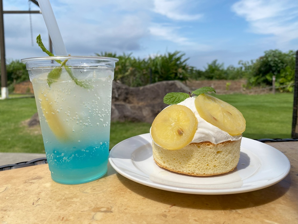 季節限定メニュー登場