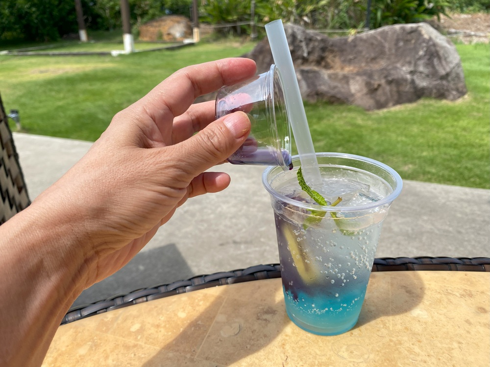 バタフライピーシロップで色変