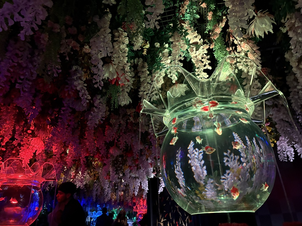 花魁花舞（HANAMAI）『花の箱庭』