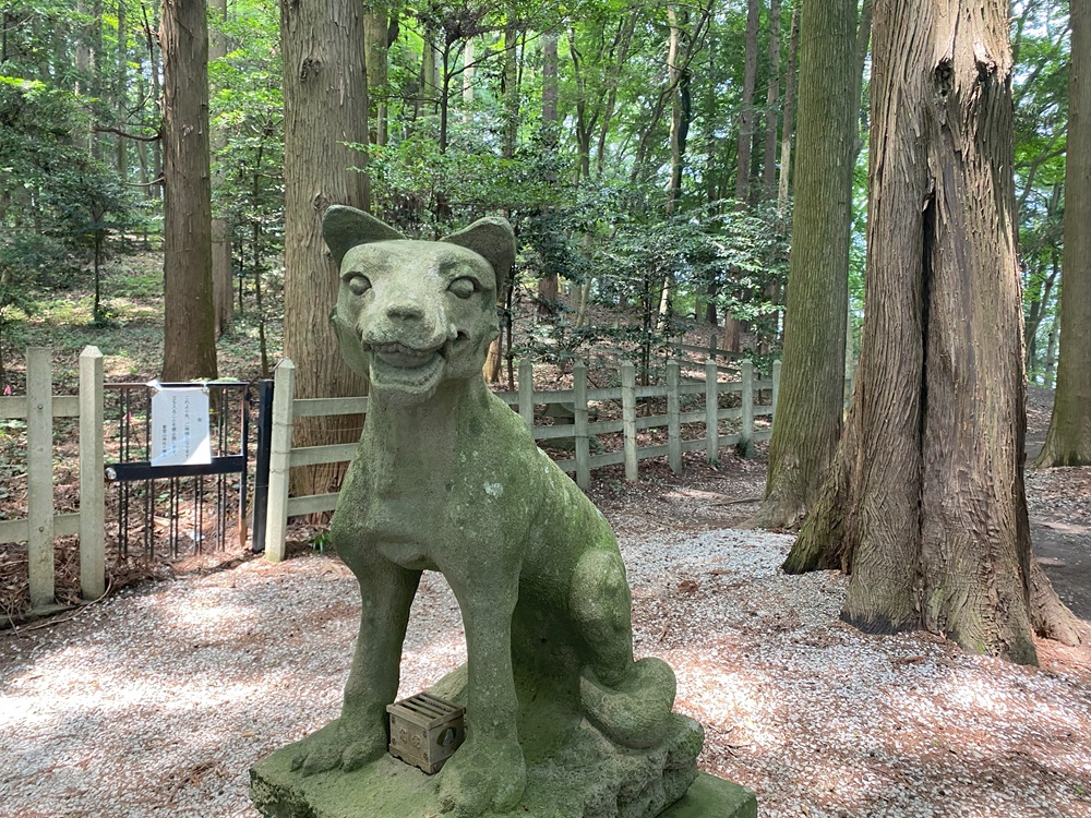 ご眷属は山犬様