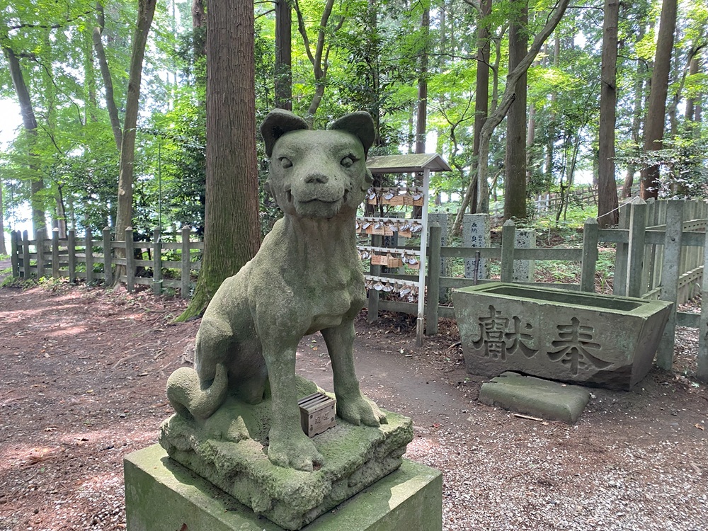あうんの顔になっている