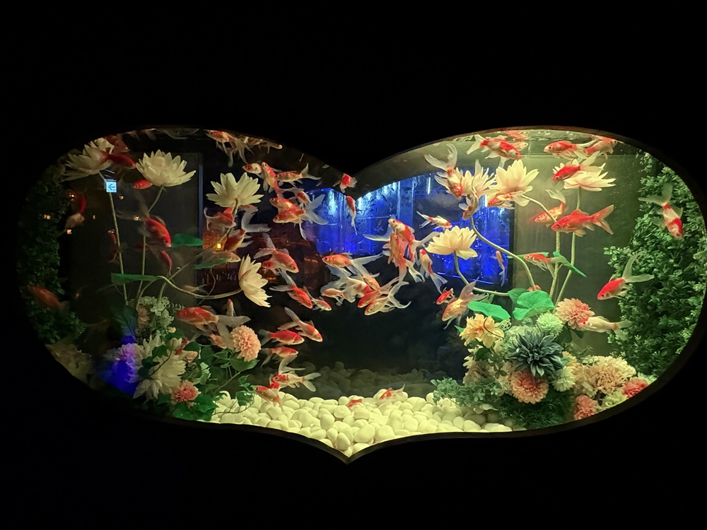 猪目（いのめ）リウム