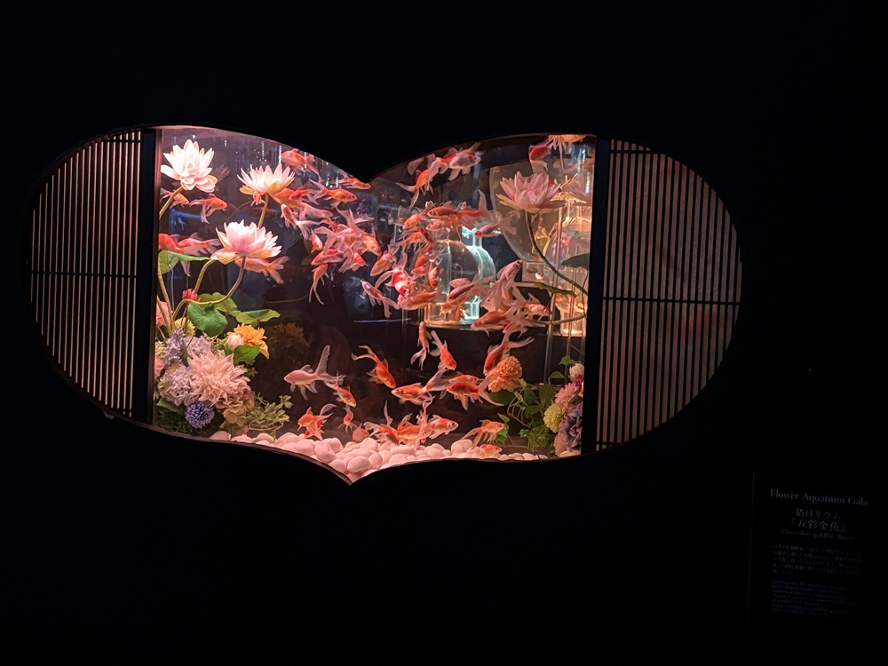 猪目（いのめ）リウム『五彩金魚』