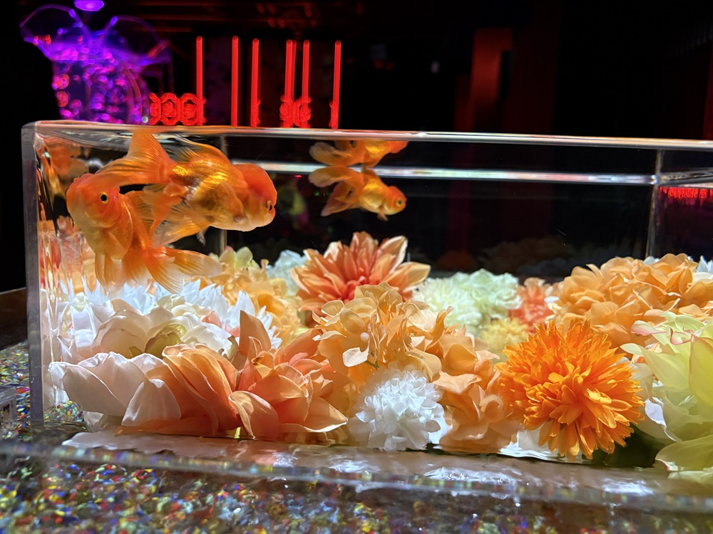 横から見てもよし