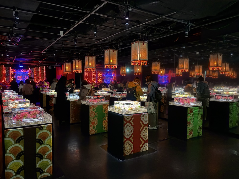 新金魚品評　冬の装い