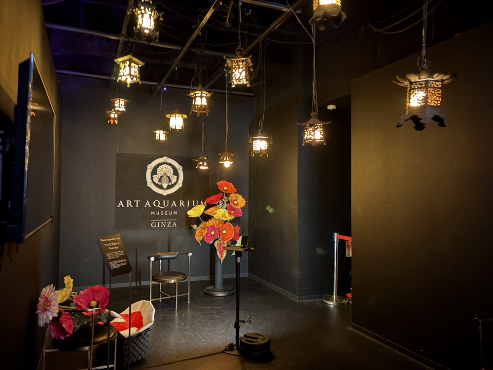 新フォトスポット