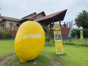 レモンの島「初島」