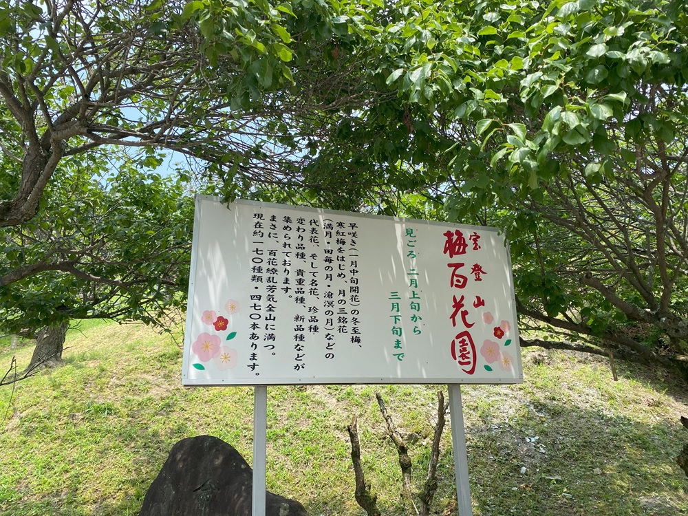 宝登山梅百花園
