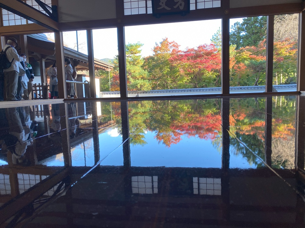 宝徳寺の床紅葉