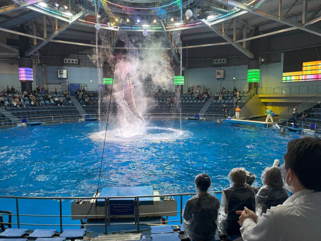 ダイナミックなパフォーマンスを披露するオキゴンドウ