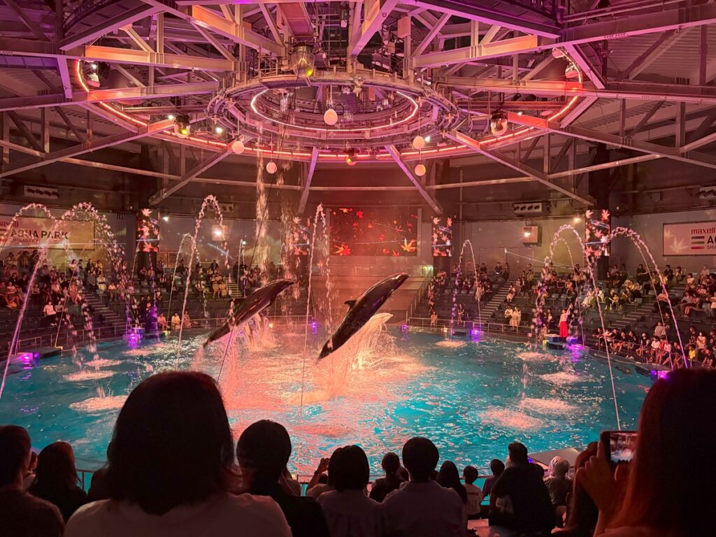 昼間とはまったく異なる雰囲気に包まれたスタジアム