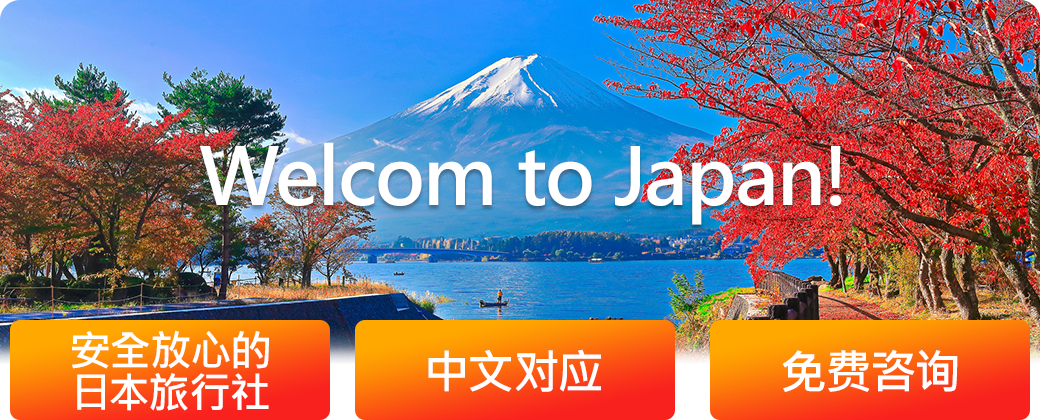 为您的日本团体旅游提供免费相关咨询