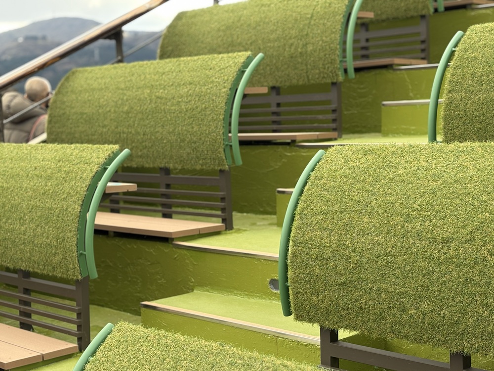 本当は本物のお茶の木を植えたかった!?