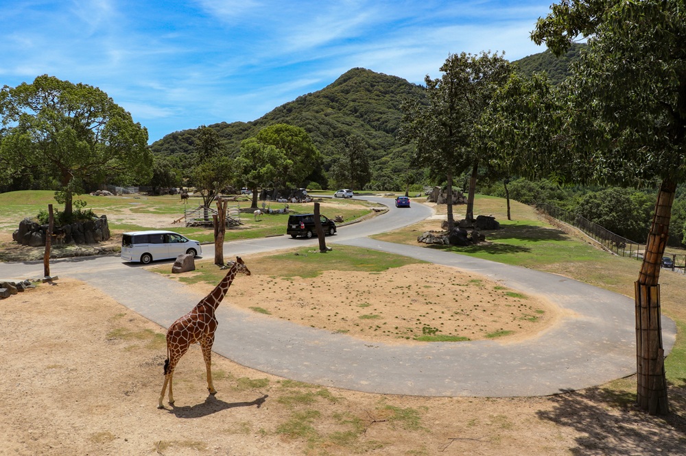 サファリリゾート姫路セントラルパーク