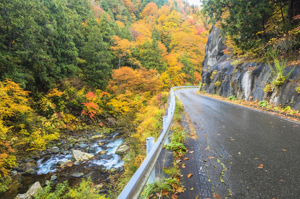 奥利根ゆけむり街道