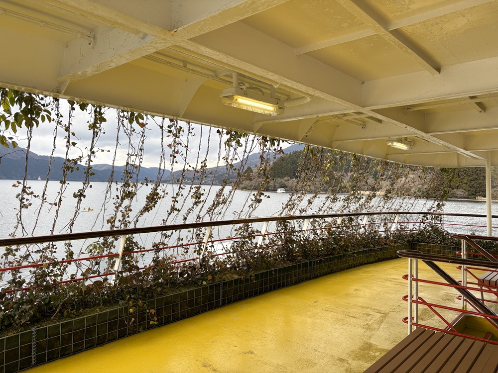 天然蔦が這う回廊