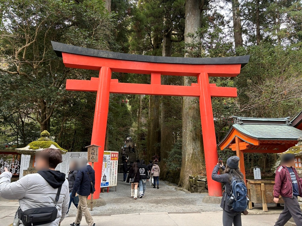 箱根神社の鳥居