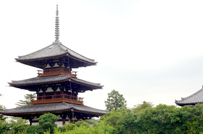 日本の歴史・遺産・文化財を学ぶ
